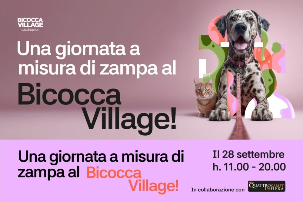 casito sezione eventi 1200x800